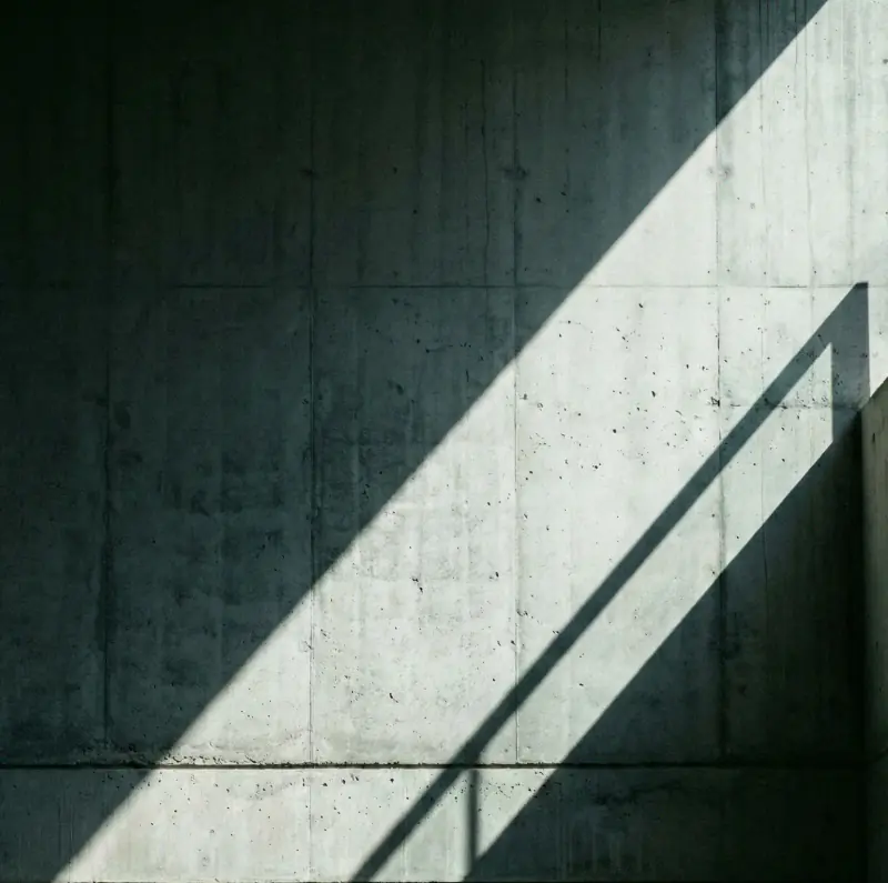 LIGHT